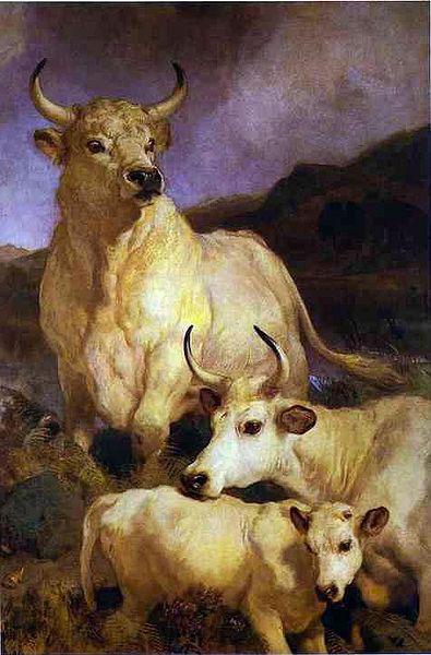 Sir edwin henry landseer,R.A. The wild cattle of Chillingham, 1867 oil painting image
